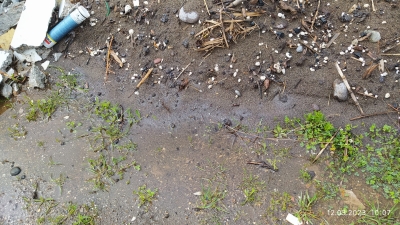 Πρωτοβουλία Ερεσού: Τα μαζούτ από την παραλία της Ερεσού στην παράνομη χωματερή στο Πιθάρι