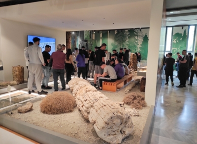 Από την επίσκεψη των μαθητών του Βροντάδου Χίου στο Μουσείο Φυσικής Ιστορίας του Απολιθωμένου Δάσους Λέσβου 