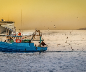 Συνάντηση στην Περιφέρεια Βορείου Αιγαίου με θέμα: «Εισβολή αλιευτικών αλλοδαπών»