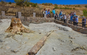 Περιήγηση και επιστημονική ενημέρωση στο Απολιθωμένο Δάσος Λέσβου