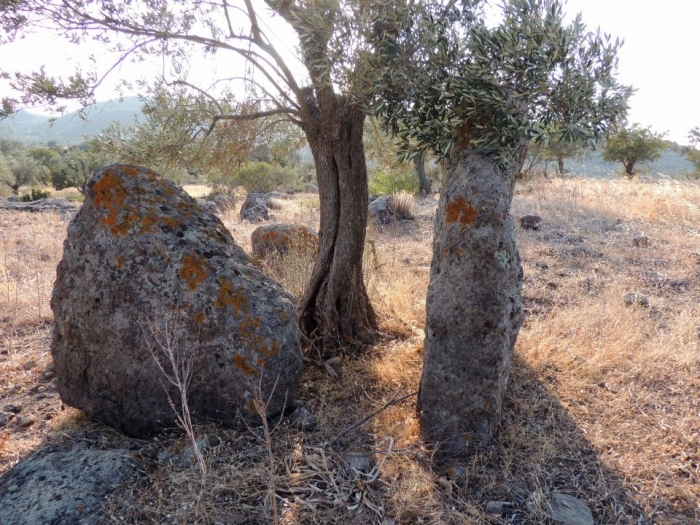 Μέρος του κτίσματος οι όρθιοι πλακοειδείς ογκόλιθοι