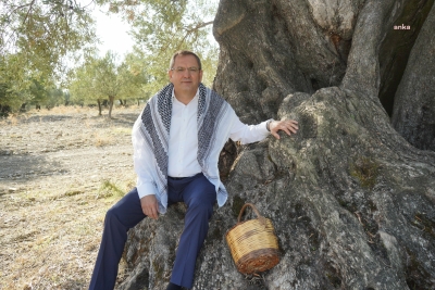 Η 26η Νοεμβρίου, η Παγκόσμια Ημέρα Ελιάς  