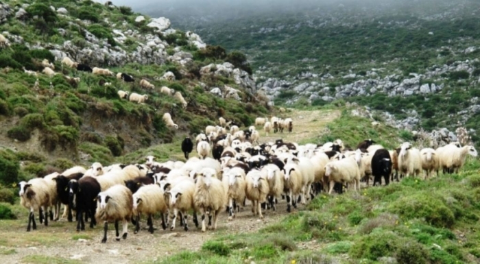 Οι 7 προτεραιότητες που έθεσε ο Λευτέρης Αυγενάκης για την αναδιάρθρωση του πρωτογενούς τομέα