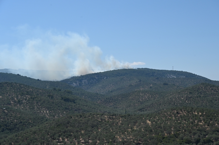 Σβήνει η μεγάλη φωτιά στο δάσος της Θερμής