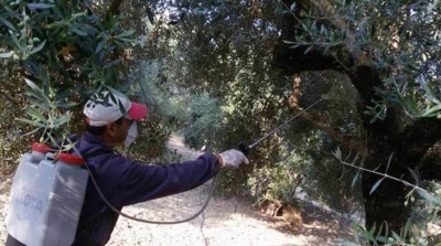 Αναλαμβάνουν οι περσινοί εργολάβοι για μια τριετία