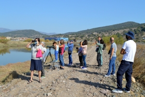 Αναζητώντας τις Αβοκέτες στις Αλυκές Πολιχνίτου