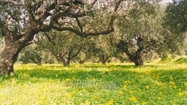 Δημιουργείται νησιωτική περιφέρεια