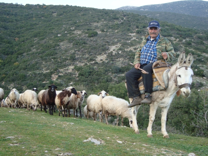 Νέο πλαίσιο για τα Διαχειριστικά Σχέδια Βόσκησης