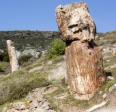 Το παγκόσμιο ενδιαφέρον των Γεωπάρκων στη Λέσβο