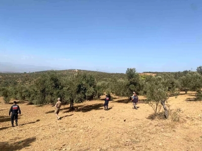 Μπουρχάνια: Και με drones για επιτήρηση και αποτροπή κλοπών στους ελαιώνες