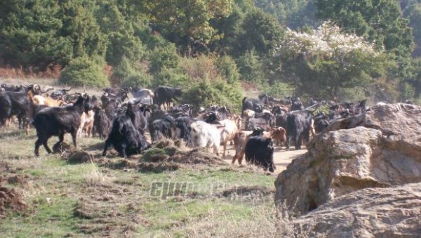 Ενημέρωση αγροτοκτηνοτρόφων στην Αγία Παρασκευή Λέσβου