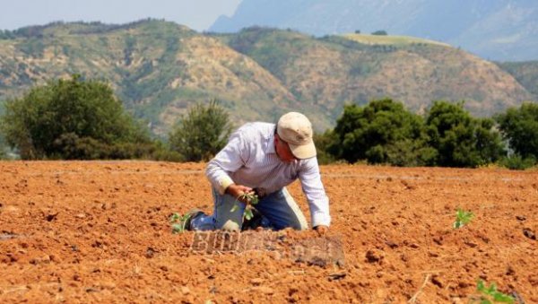 Επιδοτήσεις μόνο στους ενεργούς αγρότες