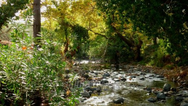 Από την Καρύνη μέχρι τους Λάμπου Μύλους