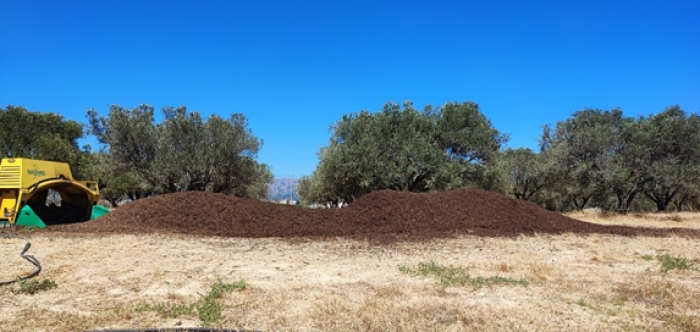 Εφαρμογή του μοντέλου της κυκλικής οικονομίας στους ελαιώνες της Λέσβου και της Κρήτης