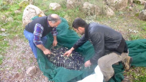 Ένας σύγχρονος ξωμάχος της Λέσβου