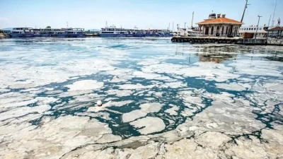 Επανεμφανίστηκε η βλέννα στη Θάλασσα του Μαρμαρά