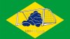 Χαμός μετά τον αγώνα Γερμανία - Βραζιλία