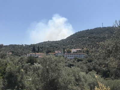 Σε εξέλιξη ακόμη η μεγάλη φωτιά που από χθες κατακαίει