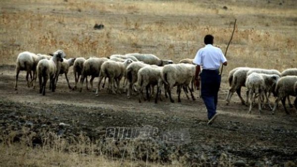 Ζεστάθηκαν οι τσέπες κτηνοτρόφων και γεωργών