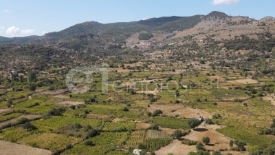 Το Μερίδιο των Αγγέλων στου άνεμου τα ώτα..