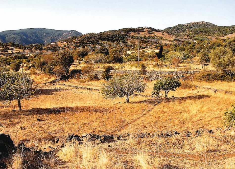 Από τον χώρο της Μητρόπολης, ο Λόφος του Αι Γιώργη