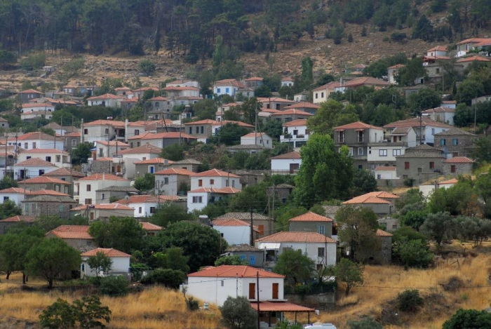 Σύλληψη καταστηματάρχη στην Άντισσα