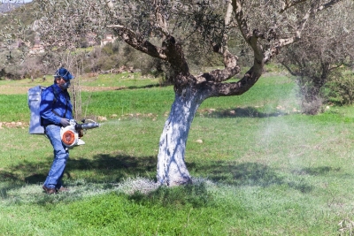 Να ξεκινήσουν άμεσα οι ψεκασμοί