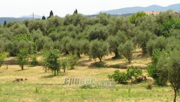 Προσοχή στους κρυφούς κινδύνους