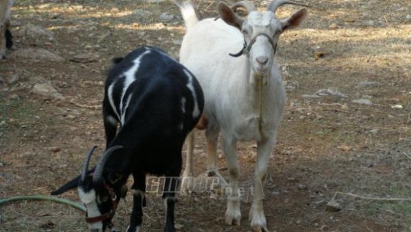 Αλαλούμ με την Εξισωτική Αποζημίωση