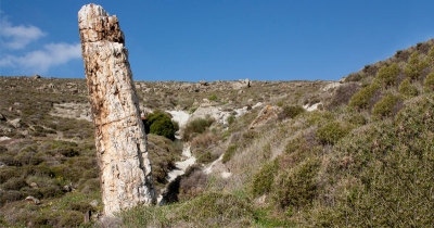 Παγκόσμια Γεωπάρκα και διαχείριση της γεωλογικής κληρονομιάς