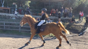 Αγώνες dressage στον Μόλυβο [Vid &amp; pics]