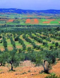 Πότε θα διορθωθούν τα λάθη;