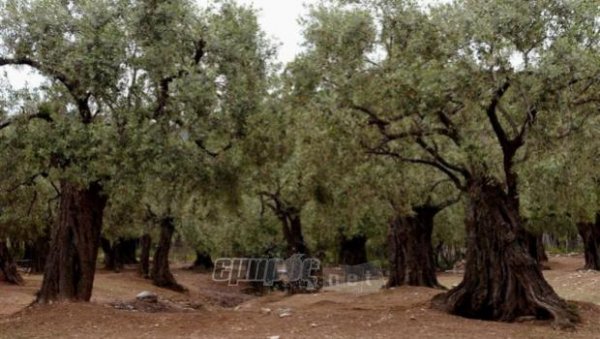 Ευεργετική βροχή, αλλά…