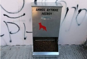 Αγκαλιάζοντας τα αδέσποτα