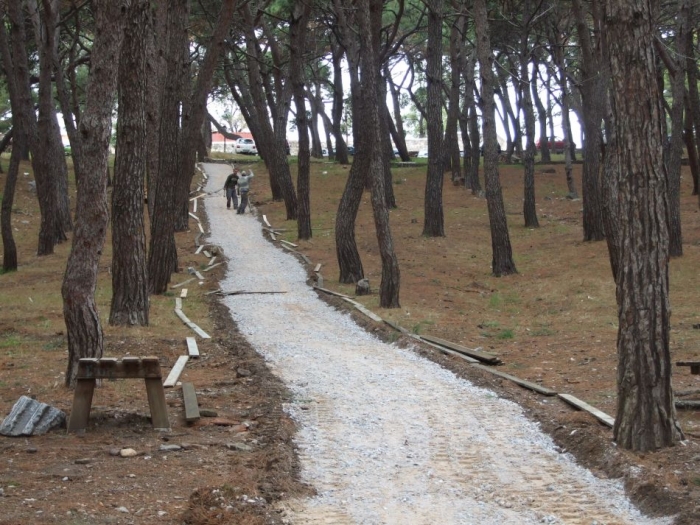 Το όραμα , παίρνει σάρκα και οστά