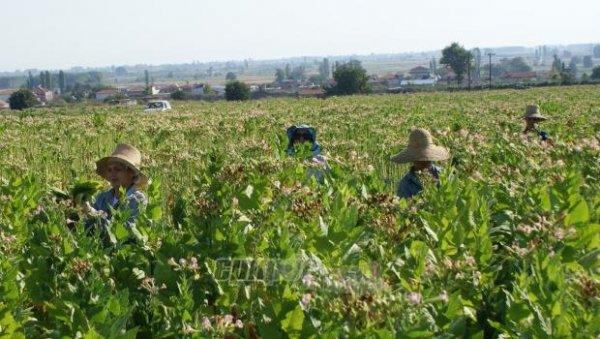 Θα πληρωθούν και για το 2012