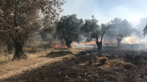 Φωτιά δίπλα στο ΚΥΤ της Μόριας [Vid]