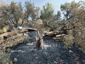 1.700.000 ευρώ για τα αντιδιαβρωτικά των Βατερών