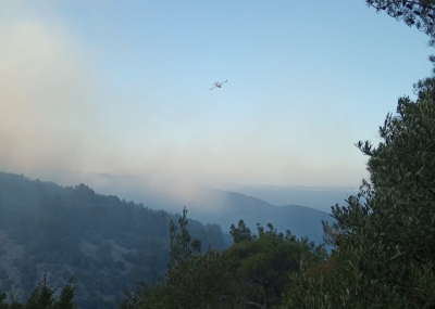 «Καμπανάκι» για την Λέσβο