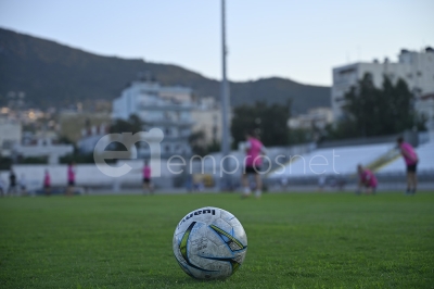 Ρίχνονται στη μάχη Σαπφώ και ΠΑΣ Λέσβου