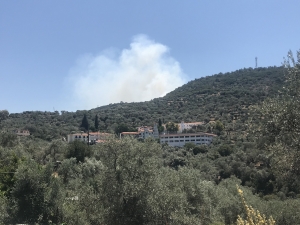 Σε εξέλιξη ακόμη η πυρκαγιά στη Θερμή