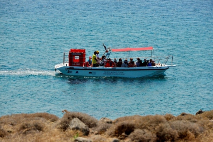 Θαλάσσιο Πάρκο Απολιθωμένου Δάσους Νησιώπης