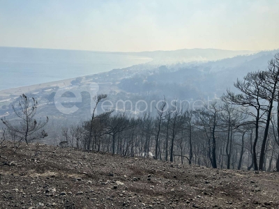 Τέταρτη μέρα και συνεχίζει να καίει η φωτιά στην Ρογκάδα