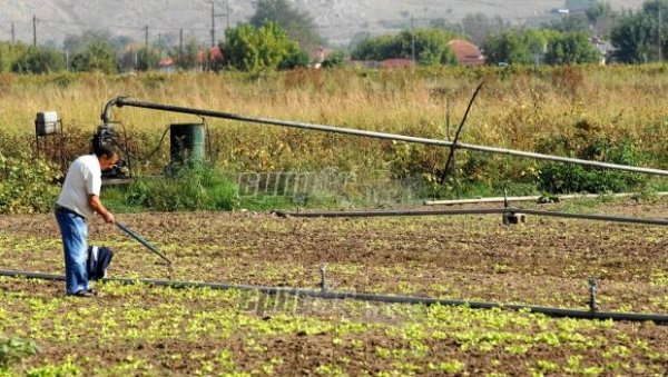 Οι οικονομολόγοι θα φωτίσουν το δικαστήριο