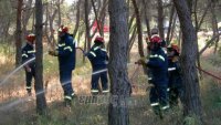 Τρεις στους 725, απ’ τη Λέσβο