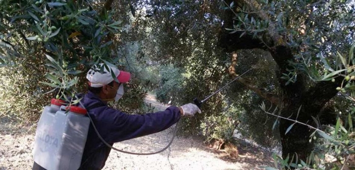 Τα «παθήματα» φαίνεται γίνονται «μαθήματα»!