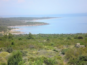 Πέφτει άσφαλτος στον Άγιο Στέφανο