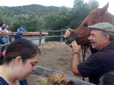 Ανοίγει ο δρόμος προς την θεραπευτική ιππασία