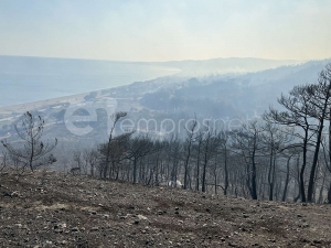 Από την εικόνα που έχει διαμορφωθεί στην περιοχή μετά την πυρκαγιά 