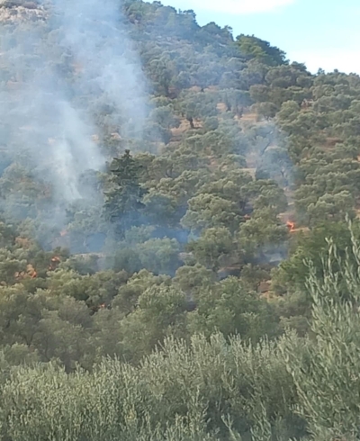 Φωτιά πριν από λίγη ώρα έξω από την Πηγή